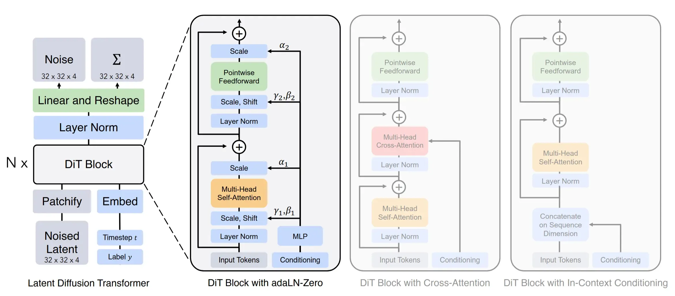 Diffusion Transformer Architecture